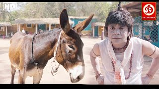 राजपाल यादव की हसी से लोट पॉट करदेने वाली मूवी  Rajpal yadav Full Comedy Movie  C K kompany [upl. by Richer]