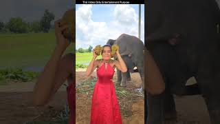 The girl wants to be beautiful with elephant hair 🥵quotyoutubeshorts [upl. by Nyliac]