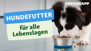 Welches Hundefutter ist das Beste Antworten für Welpe Adult amp Senior [upl. by Adkins]