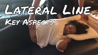 Treating the Lateral Line  MSR Fascial Approach [upl. by Ayikan616]