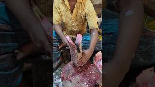 Incredible Giant Koral Fish Cutting Skills Live In Fish Market  Part2 shorts [upl. by Bernardine]