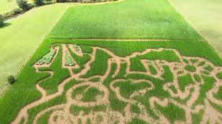 Maislabyrinth Luxembourg [upl. by Yatnuhs864]