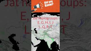 Where Jats jatts came from Haplogroup R [upl. by El]