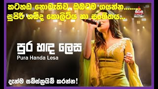 Purahanda Lesa Maya Damayanthi Live Style HD Audio karaoke පුරහදලෙස Subscribe Now [upl. by Glennon]