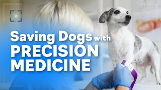 Precision Medicine Why We Chose Dogs First [upl. by Siroved]