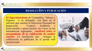 Resolución y Publicación del Auditor  Guía Completa [upl. by Ierna]