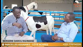 Bergerie darou rahmane suite et fin [upl. by Zales]