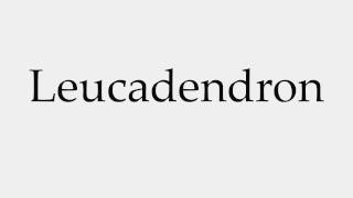 How to Pronounce Leucadendron [upl. by Jeggar]