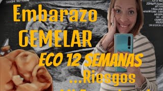 Embarazo GEMELAR🤰 ECO 12 Semanas Mi experienciaRiesgos [upl. by Anigroeg]