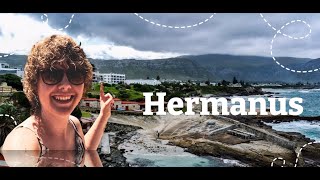 Things to do in Hermanus Western Cape [upl. by Ebony]