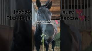 Jeździeckie życie Laury 💖Jakie imiona jeszcze💖 [upl. by Anivle]