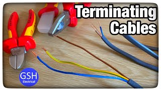 Terminating PVCPVC Twin and CPC Cables How To Strip and Terminate Twin and Earth Cables [upl. by Edny]