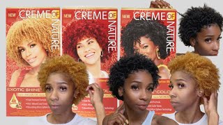 GINGER BLONDE  DIY HAIR DYE ON NATURAL HAIR  CREME OF NATURE [upl. by Aelam494]