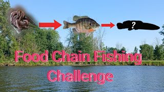 Food Chain Fishing CHALLENGE Hooked a GIANT [upl. by Ainoz]