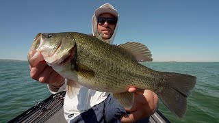 Bass Fishing sul lago TRASIMENO con il CAMPIONE del MONDO Luca Della Ciana [upl. by Zarger]