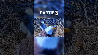 FRED LAIGLE 💀 partie 3 [upl. by Gothard]