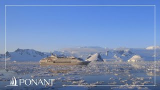 Nos croisières en Antarctique  PONANT [upl. by Farika]