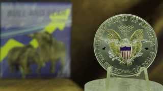 LIBERTY  BULL AND BEAR  INVESTMENT COLLECTION  2013  COIN [upl. by Kcirded]