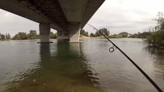 How to catch bream on bait around a bridge  basic bream fishing [upl. by Buchalter]