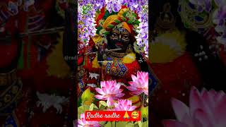 Radhe Krishna bhajan श्री ठाकुर जी वृन्दावन  प्रेम प्रभु का बरस रहा है पी अमृत श्रीkrishna 💕💕❤️🙏🙏 [upl. by Saber67]