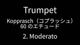 Trumpet Kopprasch 2 [upl. by Dadinirt816]