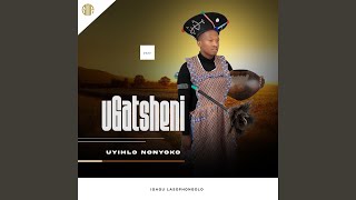 Izinyokanyoka feat Umfoka Msezana [upl. by Shull208]