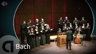 JS Bach Motet BWV 225 Singet dem Herrn  Vocalconsort Berlin [upl. by Pernell]