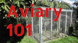 Outdoor Aviary 101  Tips on Building a Large Aviary Outdoors [upl. by Nivra]