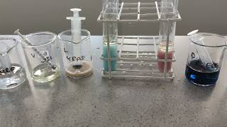 Diazene Blue Aerobic or Anaerobic Respiration Yeast  AQA Required Practical [upl. by Rexana962]