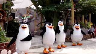 Madagascar Penguins dancing in Universal Studios Singapore [upl. by Aitnwahs474]