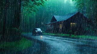 Barulho de Chuva com muitos Trovões na Estrada da Floresta Nebulosa  Chuva e Trovoadas para Dormir [upl. by Aidnahs820]