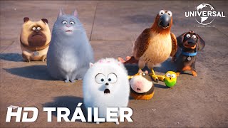 Mascotas Unidas Trailer en Español HD Netflix 2020 [upl. by Ailedo]