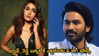 Actress Shalini Pandey To Star OPPOSITE Dhanush In Idli Kadai Movie  NSE [upl. by Ringler]