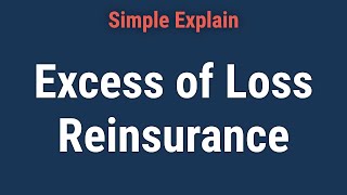 What Is Excess of Loss Reinsurance [upl. by Car137]