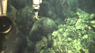 OSU volcano videos  Axial Seamount eruption [upl. by Aurelio860]