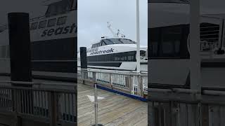 Different ferry lines to book for your next trip to Martha’s Vineyard ⛴️☀️🌊 [upl. by Watts]