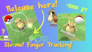 The Pidgey Excellent  Evolution combo is insane [upl. by Poppy]