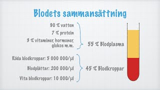 Blodets sammansättning [upl. by Hseyaj897]