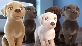 Pip  A Short Animated Film by Southeastern Guide Dogsbeauty petsGuidedog [upl. by Barbour]