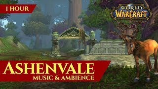 Ashenvale  Music amp Ambience World of Warcraft Classic [upl. by Noirred144]