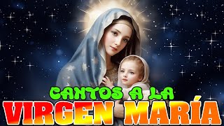 CANTOS A LA VIRGEN MARÍA PARA PEDIR UN MILAGRO🙏 Música para el Alma Católica🙏 [upl. by Garek]