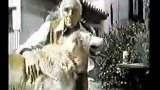 1980 Alpo Dog Food Commercial [upl. by Der866]