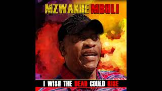 Mzwakhe Mbuli I wish the Dead Coud Rise [upl. by Notwen]