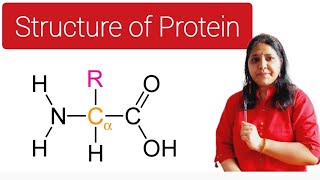 Structure of Protein  AMINO ACID [upl. by Yhtur201]