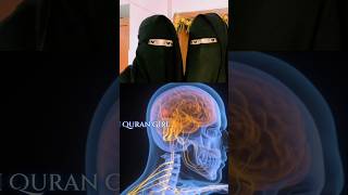 The Qurans Scientific Miracle Skin as a Pain Receptor [upl. by Sonstrom]