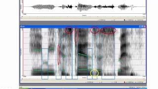 Step by step through a spectrogram [upl. by Marlo194]