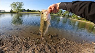 CATCHING BASS AND BLUEGILL CATCH AND COOK [upl. by Einram]