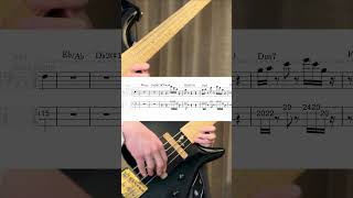 Outlier Bob Reynolds Solo Bass TAB Shorts bass jazz snarkypuppy [upl. by Alenson341]