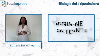 Corso ECM quotBiologia della Riproduzionequot  Dottssa Ilenia Di Martino [upl. by Snoddy296]