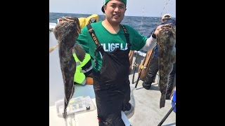 Northern California Lingcod Fishing Farallon Islands and Rockfish [upl. by Hamel]